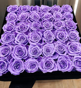 Rose Forever   Review
